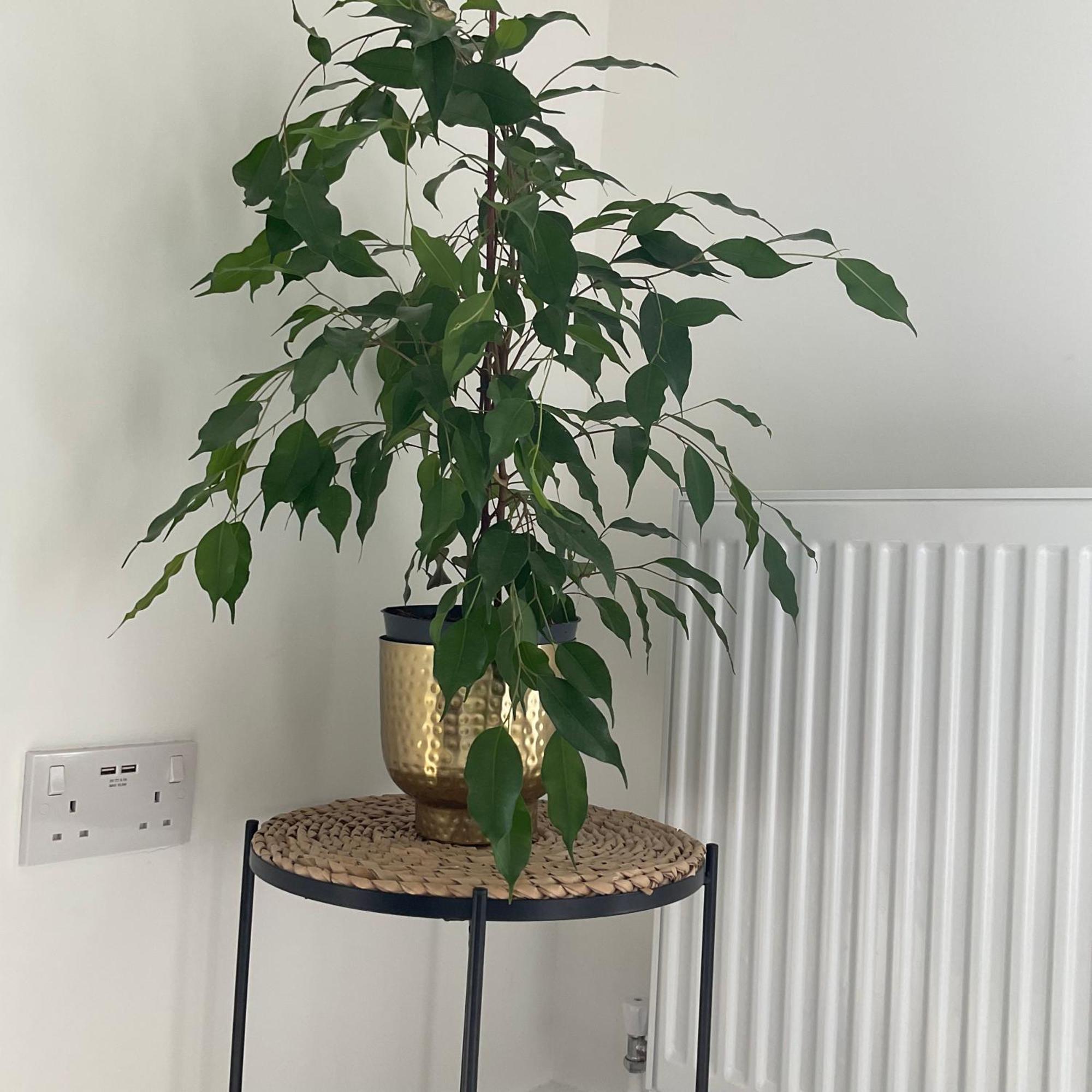 The Parkes A Stylish 3Br House, 5 Mins From Central Birmingham Close To The Edgbaston Stadium, The Hippodrome, Uob, Aston And Bcu, China Town, Kings Heath Bhx Airport And Much More Esterno foto